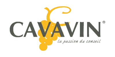 Cavavin